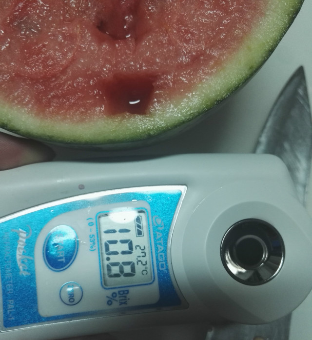 买手去哪儿 | 淘健康小西瓜